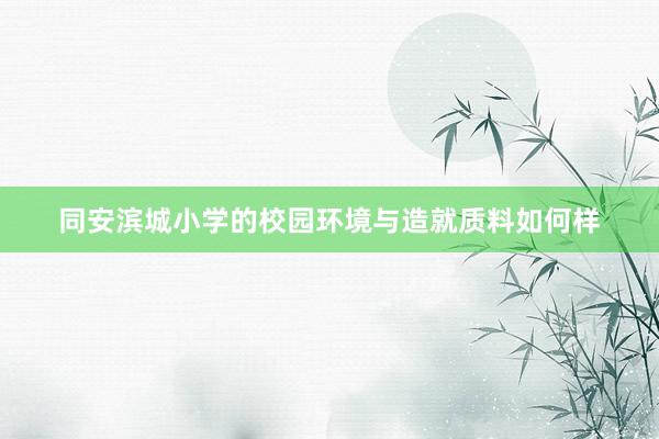 同安滨城小学的校园环境与造就质料如何样