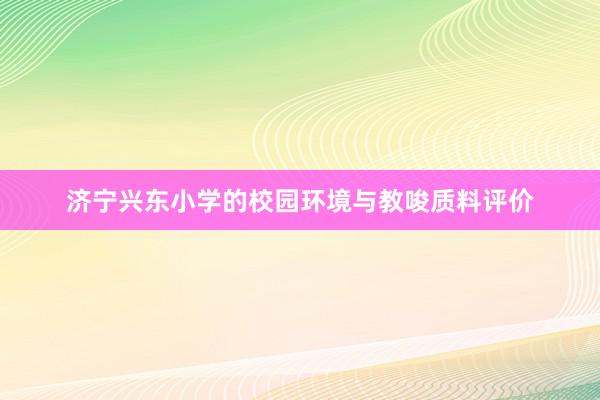 济宁兴东小学的校园环境与教唆质料评价